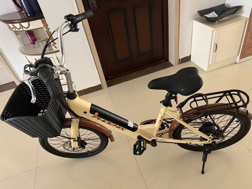 Xe Đạp Trợ Lực Điện Phoenix LS20 36 1792554107176_2217424858081749689_5655590850111275776_e6074b45669bd0e1d0b2c5b2bbb0105f