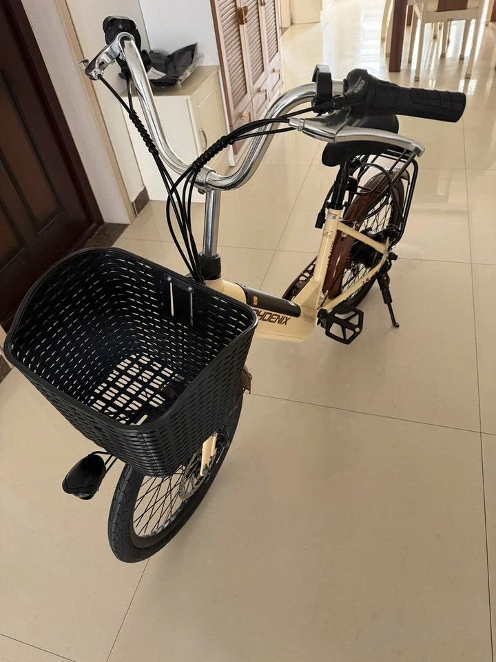 Xe Đạp Trợ Lực Điện Phoenix LS20 37 1792554170541_2217424858081749689_5655590850111275776_d2aa676423ef6999365d37579bcc1b5d