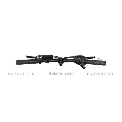 ebikevn.com - FIIDO D21
