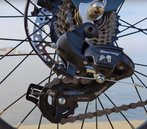 ebikevn.com - fiido D11