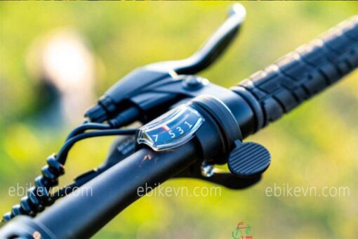 ebikevn.com - fiido D11