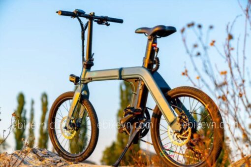 ebikevn.com - fiido D11