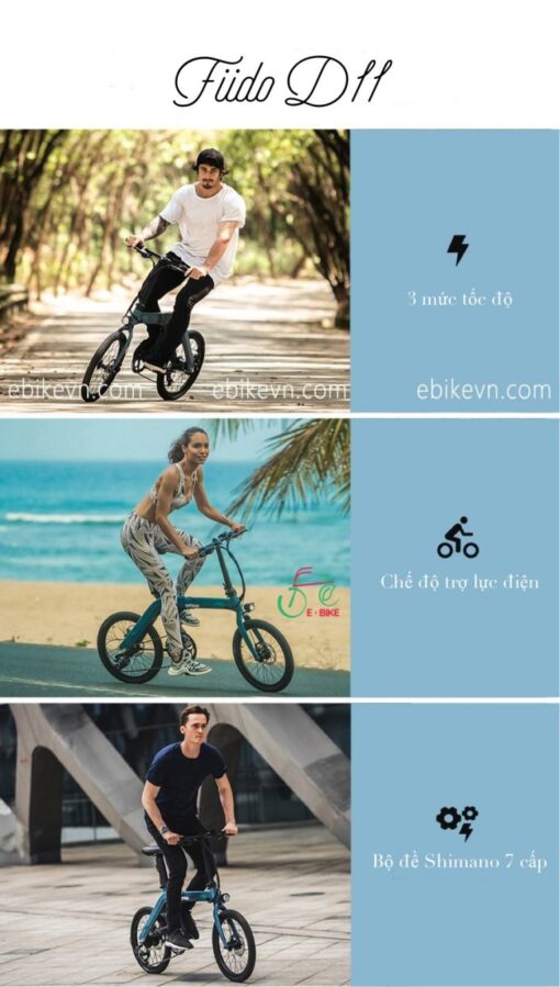 ebikevn.com - fiido D11