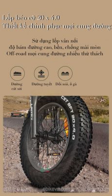 ebikevn.com - Xiaomi Himo ZB20