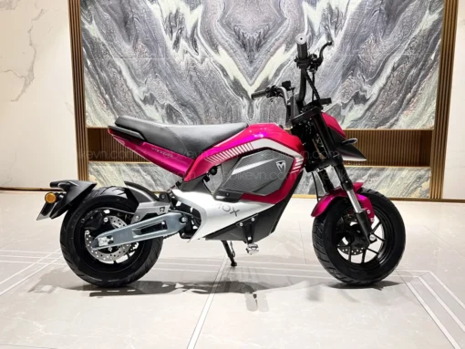 Xe dien Tromox MYS1200S -ebikevn.com (4)