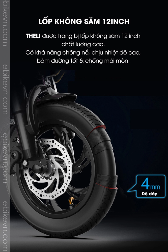 Xe dap dien THELI cao cap - ebikevn.com (10)