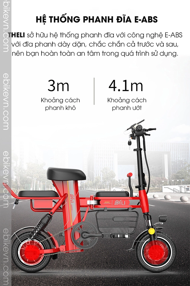 Xe dap dien THELI cao cap - ebikevn.com (11)