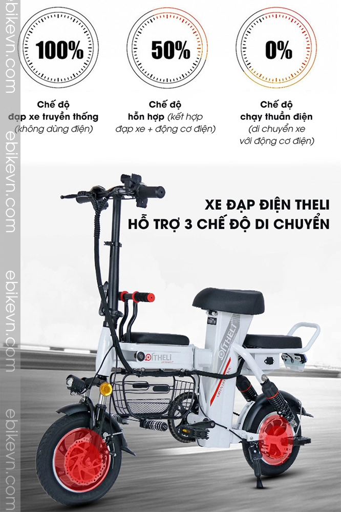 Xe dap dien THELI cao cap - ebikevn.com (13)