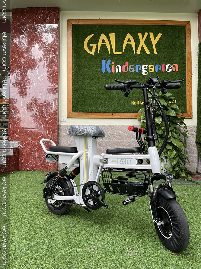 hinh anh Xe dap dien THELI cao cap - ebikevn.com (17)
