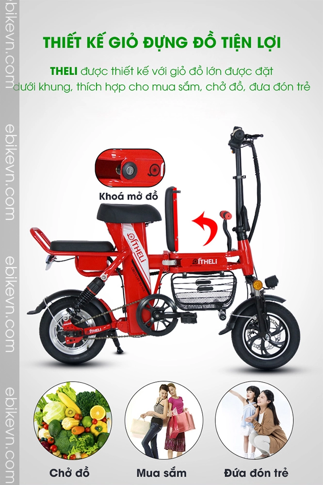 Xe dap dien THELI cao cap - ebikevn.com (2)