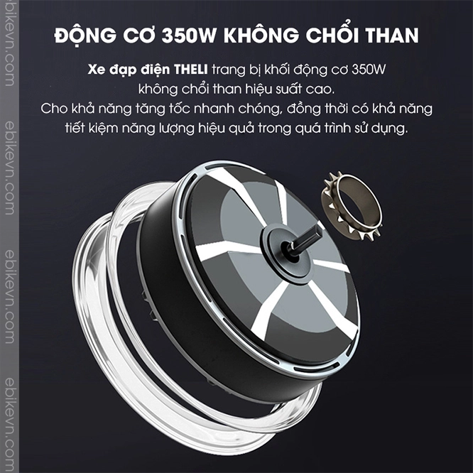 Xe dap dien THELI cao cap - ebikevn.com (5)