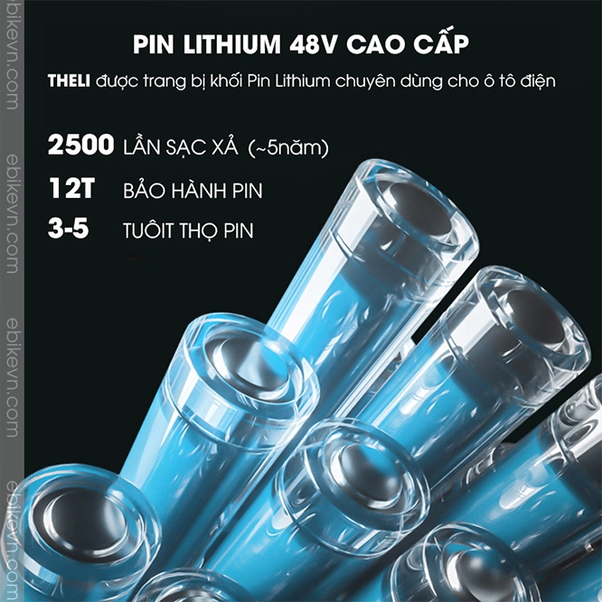 Xe dap dien THELI cao cap - ebikevn.com (6)