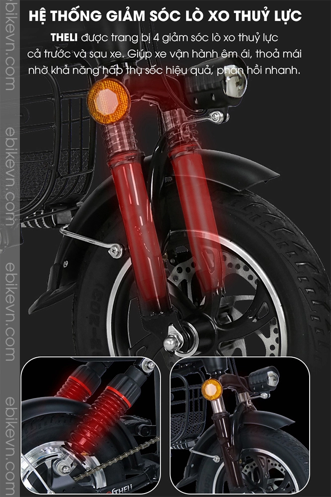 Xe dap dien THELI cao cap - ebikevn.com (9)