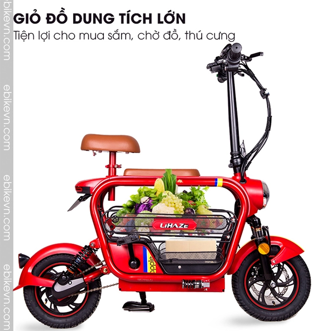Xe dap dien gia dinh LIHAZE 3 cho ngoi -ebikevn (4)