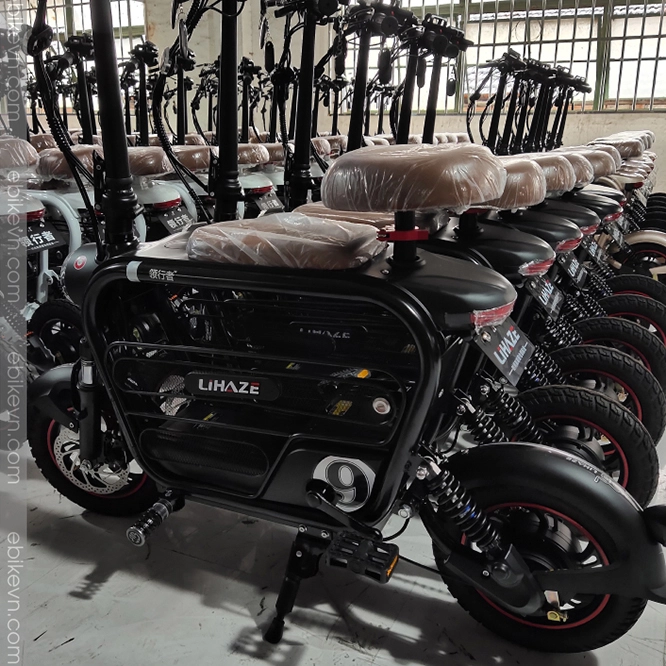 Xe dap dien gia dinh LIHAZE hinh anh tai ebikevn 2 LIHAZE | THELI