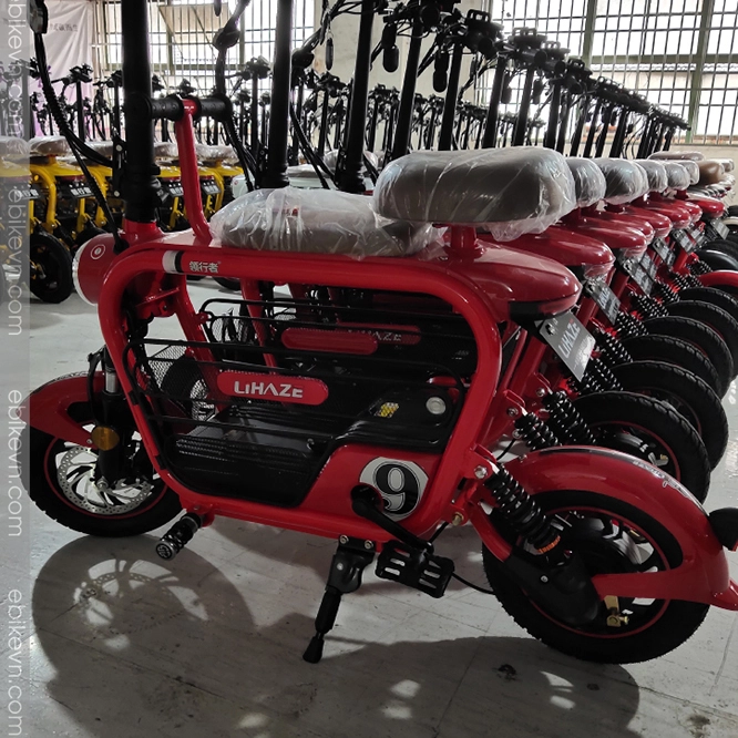 Xe dap dien gia dinh LIHAZE hinh anh tai ebikevn 4 LIHAZE | THELI