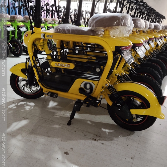 Xe dap dien gia dinh LIHAZE hinh anh tai ebikevn 5 LIHAZE | THELI
