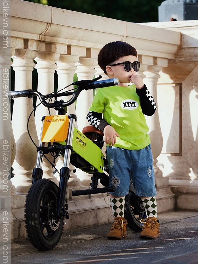hinh anh sunrimoon pard 01 -ebikevn (4)