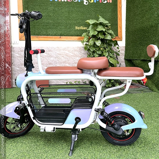 xe dap dien LIHAZE -ebiekvn (1)