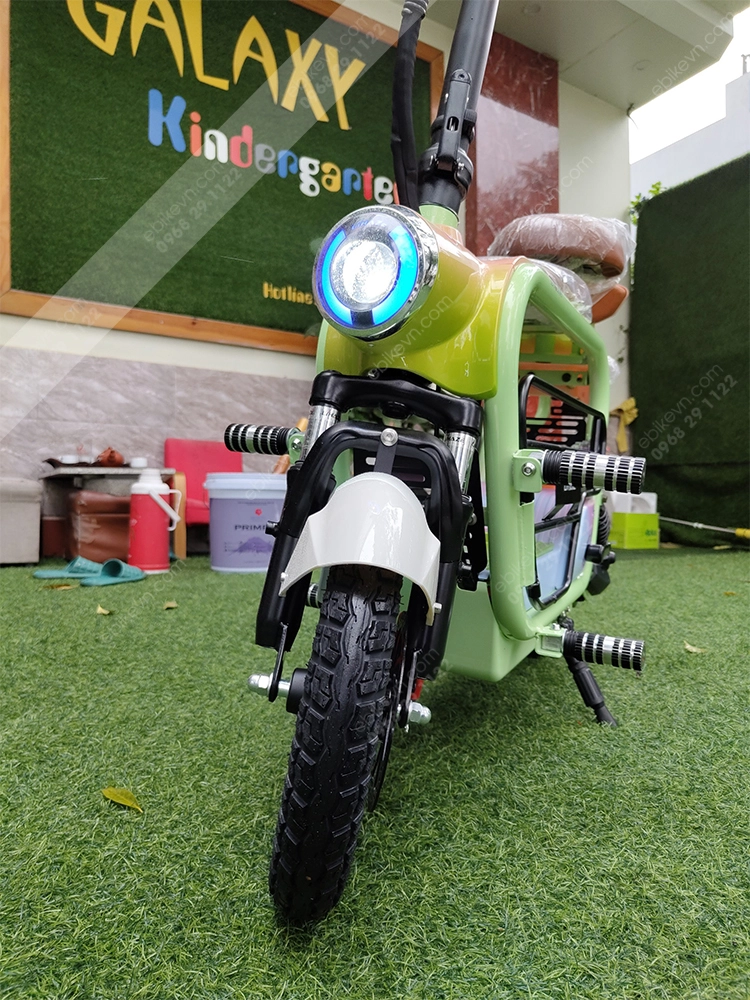 Hinh anh Xe dap dien LIHAZE THELI 5 LIHAZE | THELI