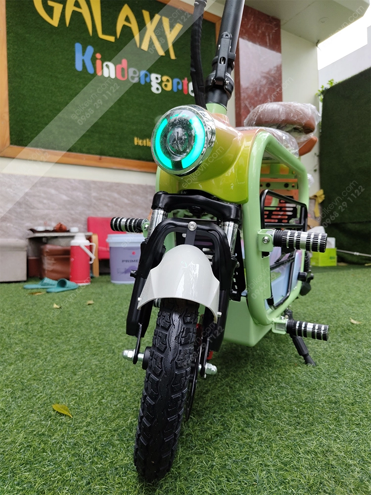 Hinh anh Xe dap dien LIHAZE THELI 6 LIHAZE | THELI