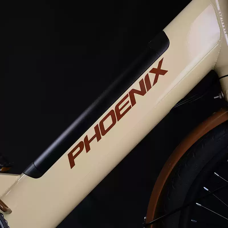 Xe Đạp Trợ Lực Điện Phoenix LS20 22 O1cn01ylxq361f6cb7sz6xf_!!2772200437.jpg_q50.jpg_ (1)