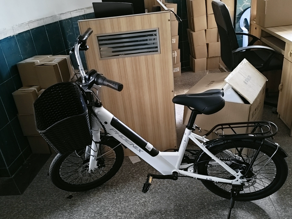 Xe Đạp Trợ Lực Điện Phoenix LS20 35 O1cn01fdmw63xg2pg2vgwq_!!4611686018427385120-0-rate.jpg_960x960.jpg_