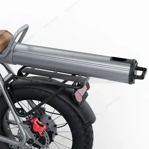 Xe Dap Tro Luc Coswheel Ct20 -ebikevn (12)