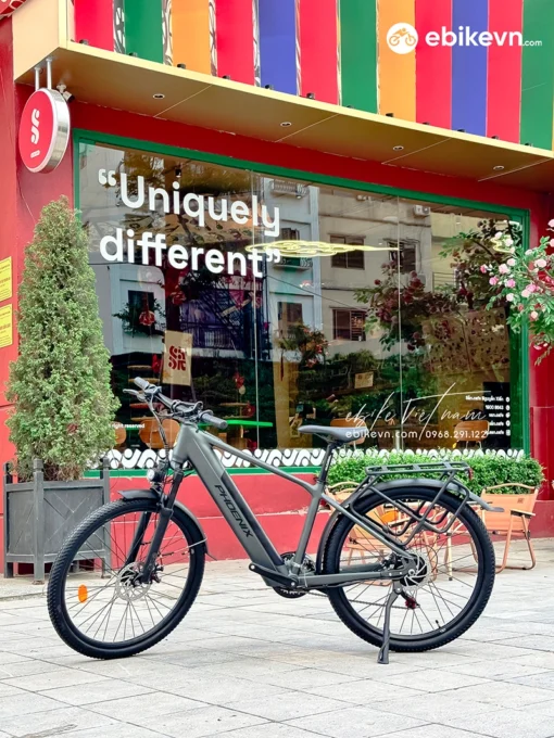 Xe đạp Trợ Lực điện Phoenix Lm (26inch)