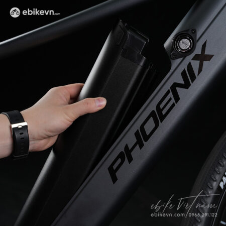 Xe Dap Tro Luc Dien The Thao Phoenix Lm -ebikevn (3)