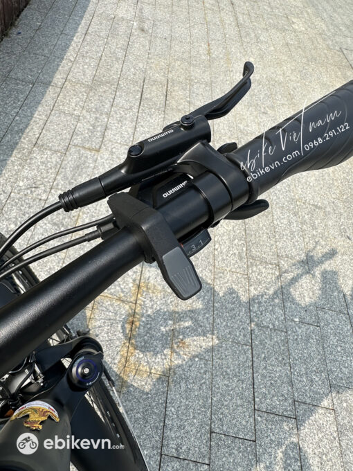 Xe Dap Tro Luc Dien The Thao Phoenix Lm -ebikevn (4)