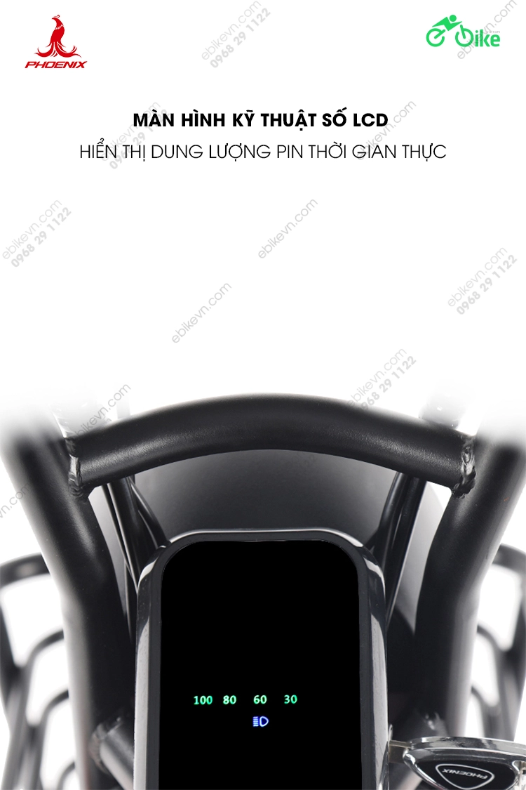man lcd Xe dien 3 banh Phoenix Dazzling ebikevn.com PHOENIX