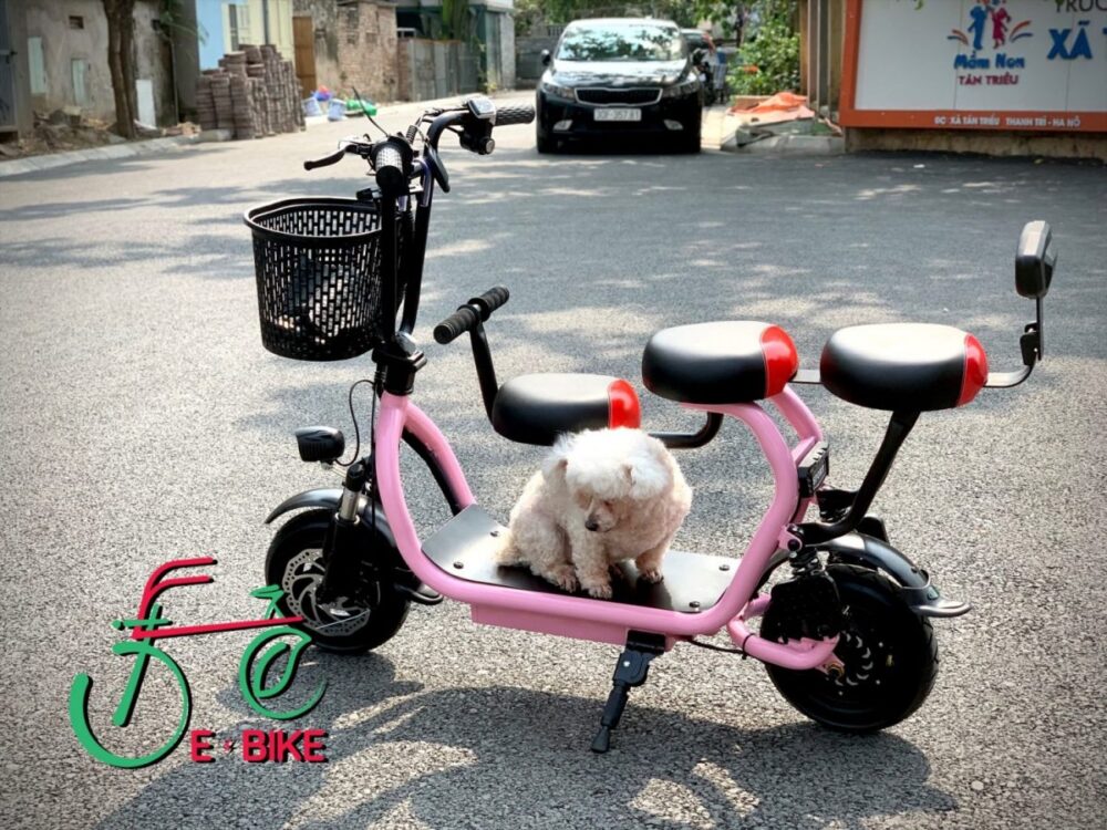 Harley Mini E-Scooter