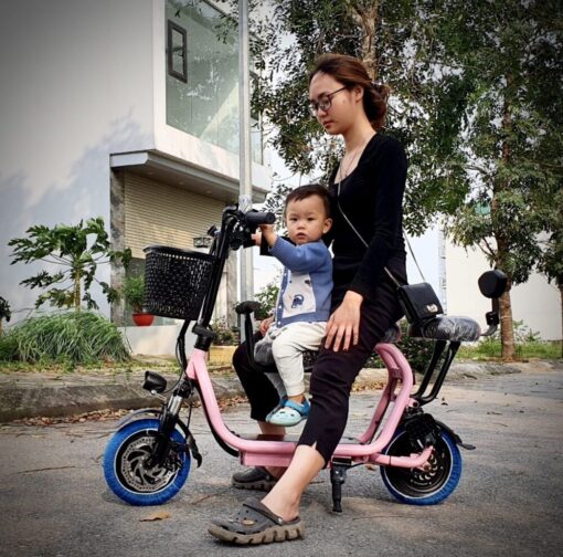Xe điện eBIKEVN-Thế Giới Xe Điện - mô tơ xe đạp điện cũ