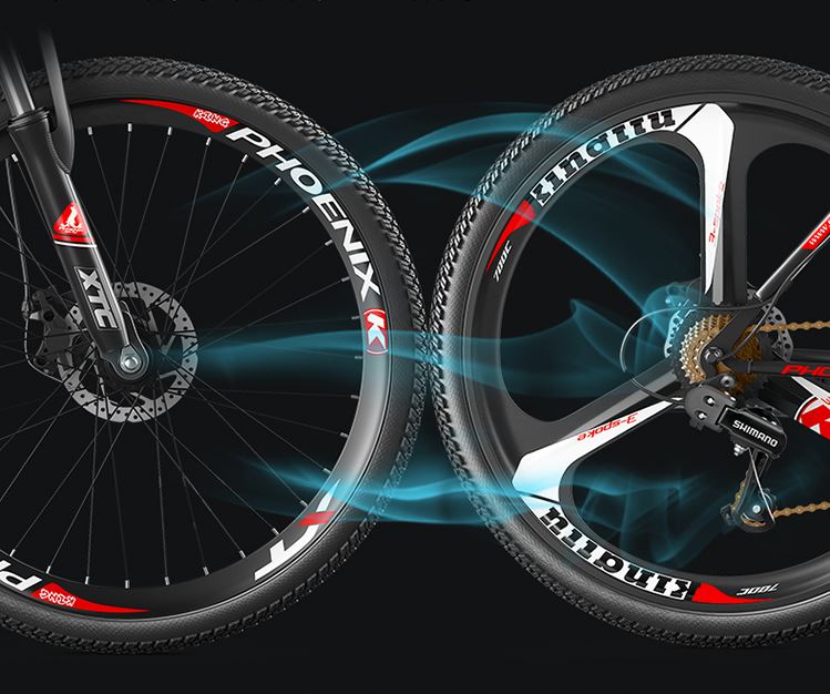 Xe đạp thể thao trợ lực điện Phoenix R26 (bản vành đúc)
