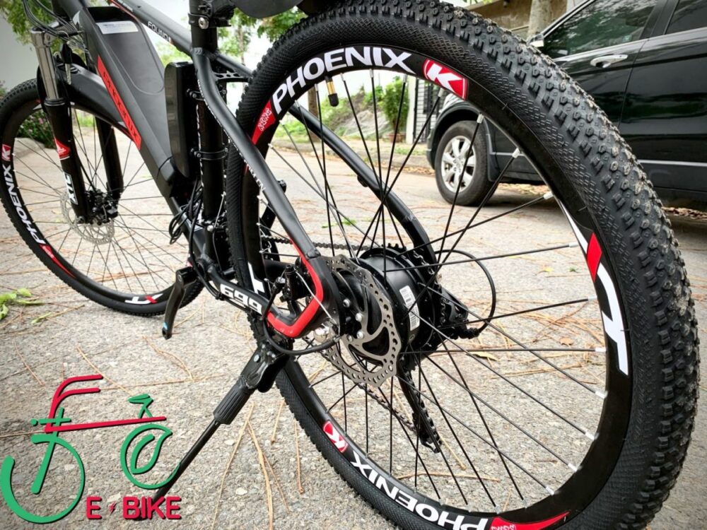 Xe Đạp Thể Thao Trợ Lực Điện Phoenix R26