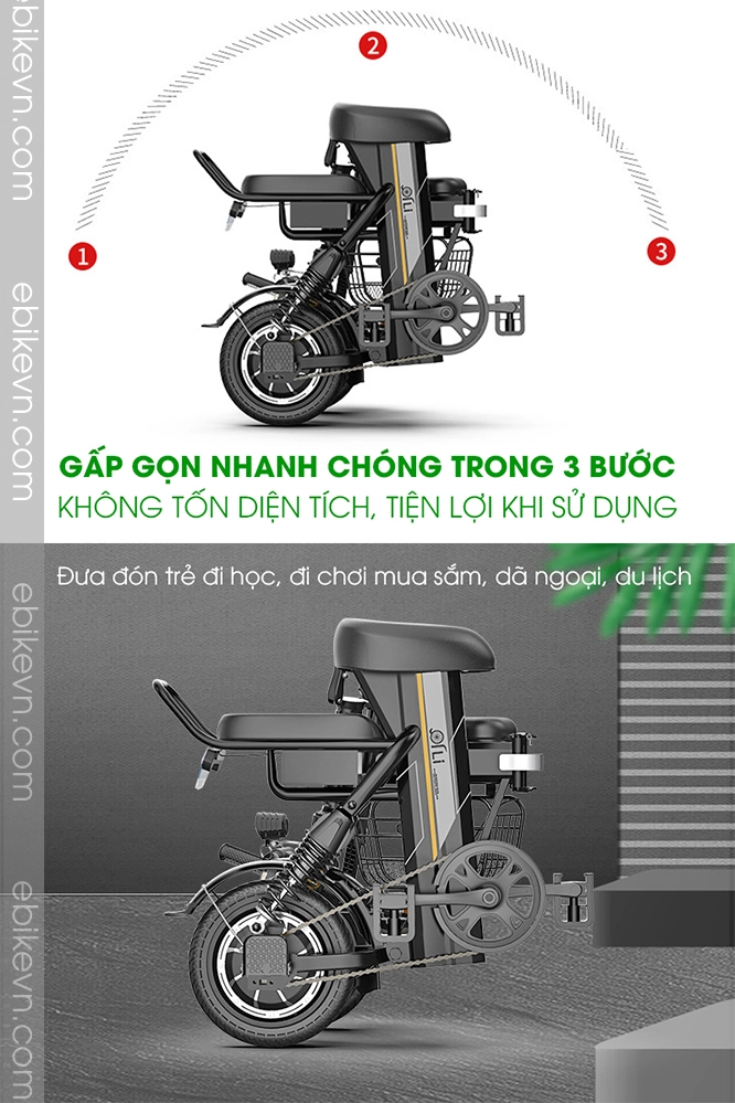 Xe dap dien THELI cao cap - ebikevn.com (3)