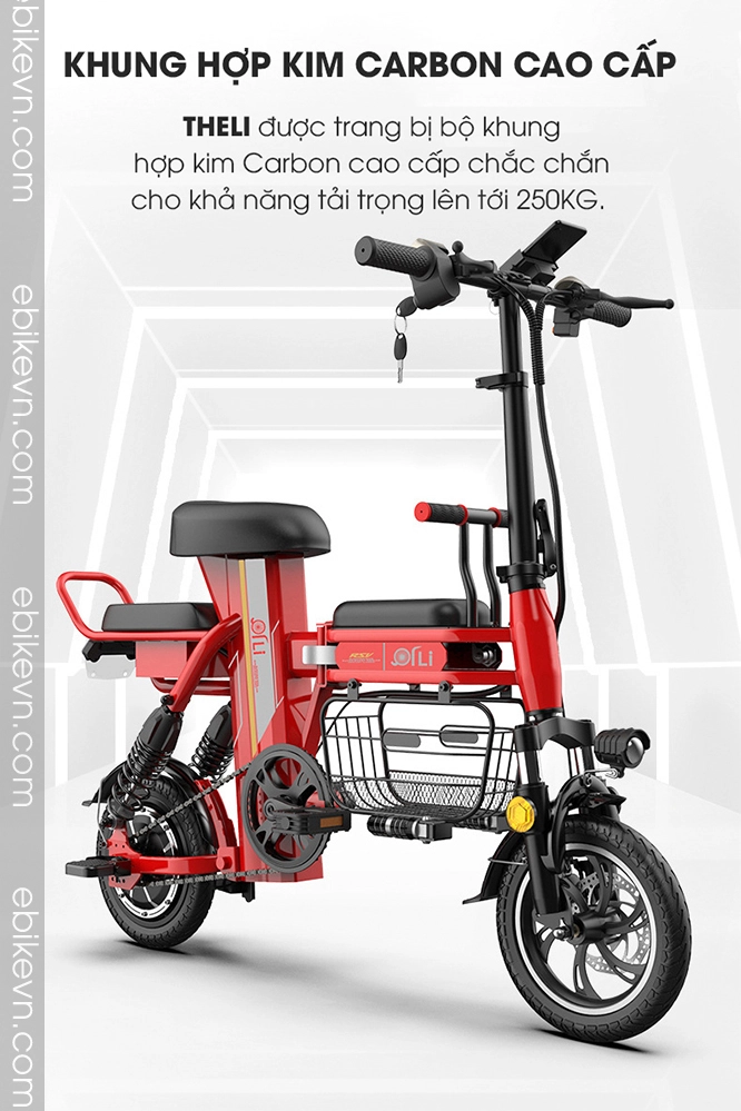 Xe dap dien THELI cao cap - ebikevn.com (4)