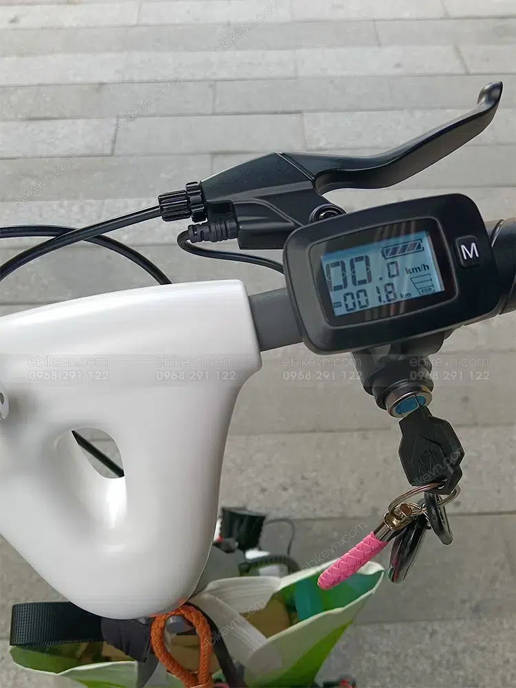 Anh Scooter Bremer V10 Ebikevn (6)