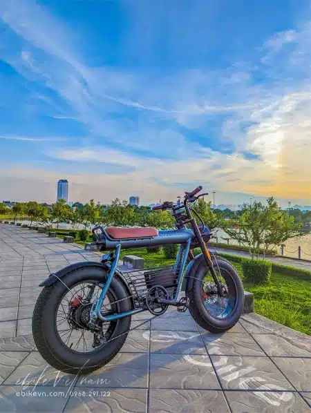 Coswheel Ct20 - Ebikevn (14)