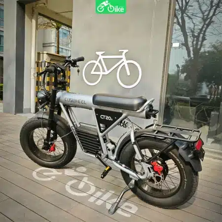 Coswheel Ct20s - Ebikevn (3)