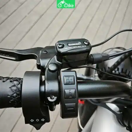 Coswheel Ct20s - Ebikevn (5)