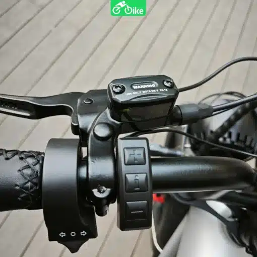 Coswheel Ct20s - Ebikevn (8)