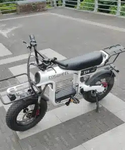 Coswheel T16 - Ebikevietnam (2)