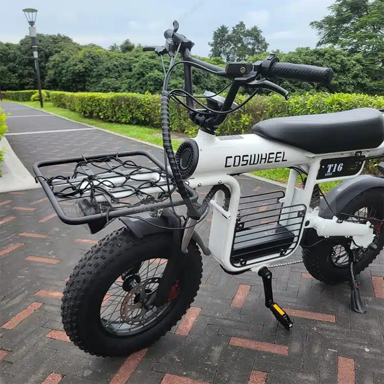 Coswheel T16 - Ebikevietnam (4)