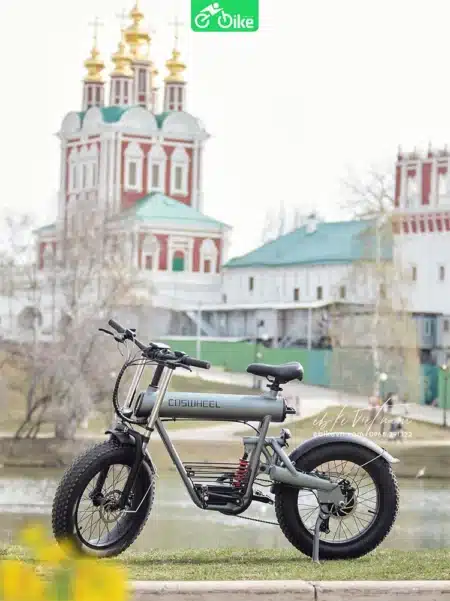 Coswheel T20 -ebikevn (1)