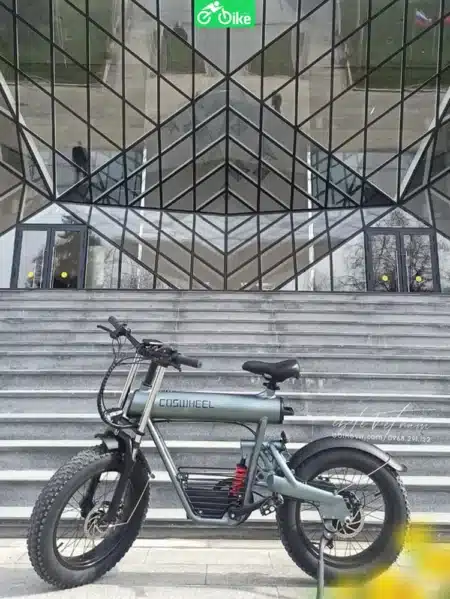 Coswheel T20 -ebikevn (2)