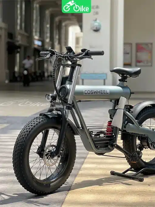 Coswheel T20 -ebikevn (5)