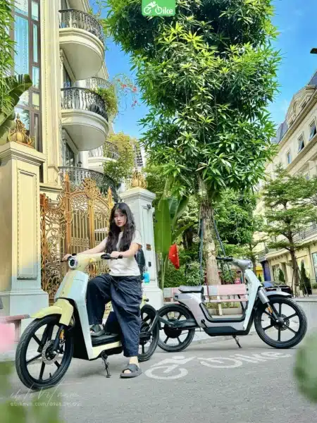 Honda Cub E - Ebikevn (8)