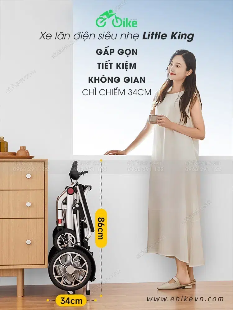 Little King Xe Lan Dien Sieu Nhe Ebike Viet Nam (2)